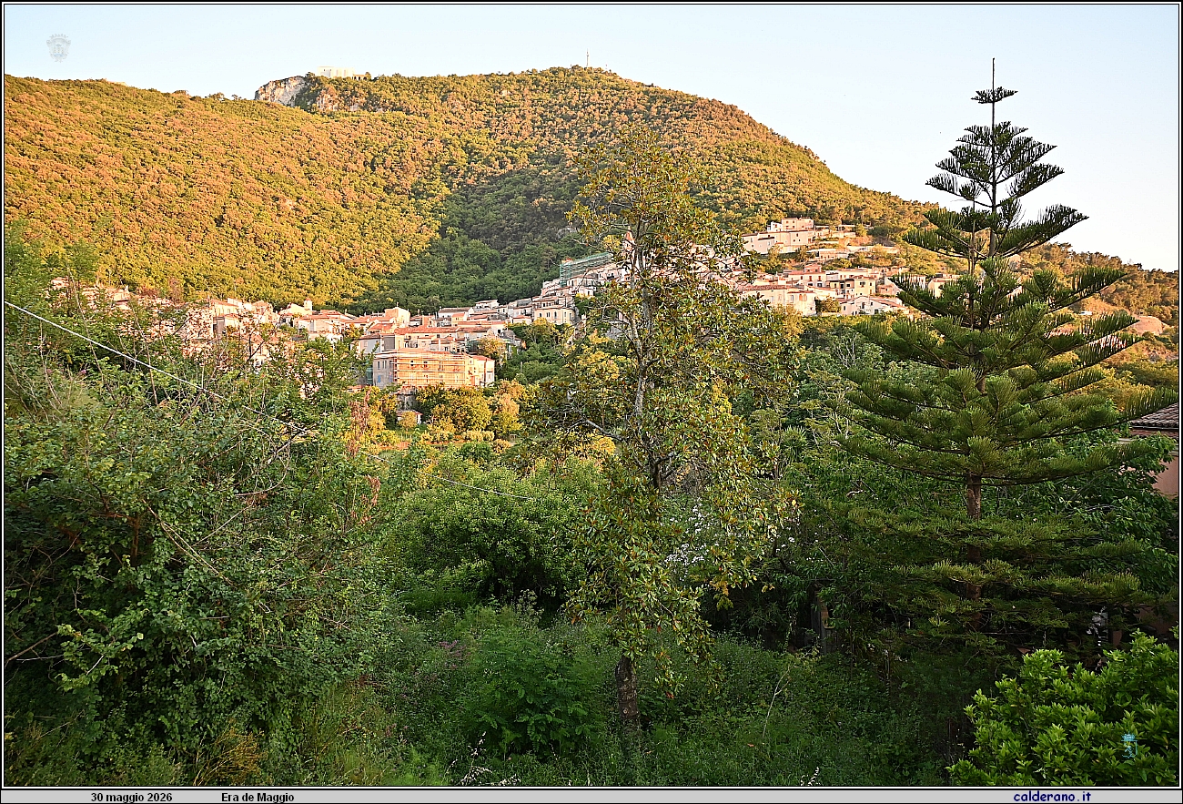26E_9611.JPG