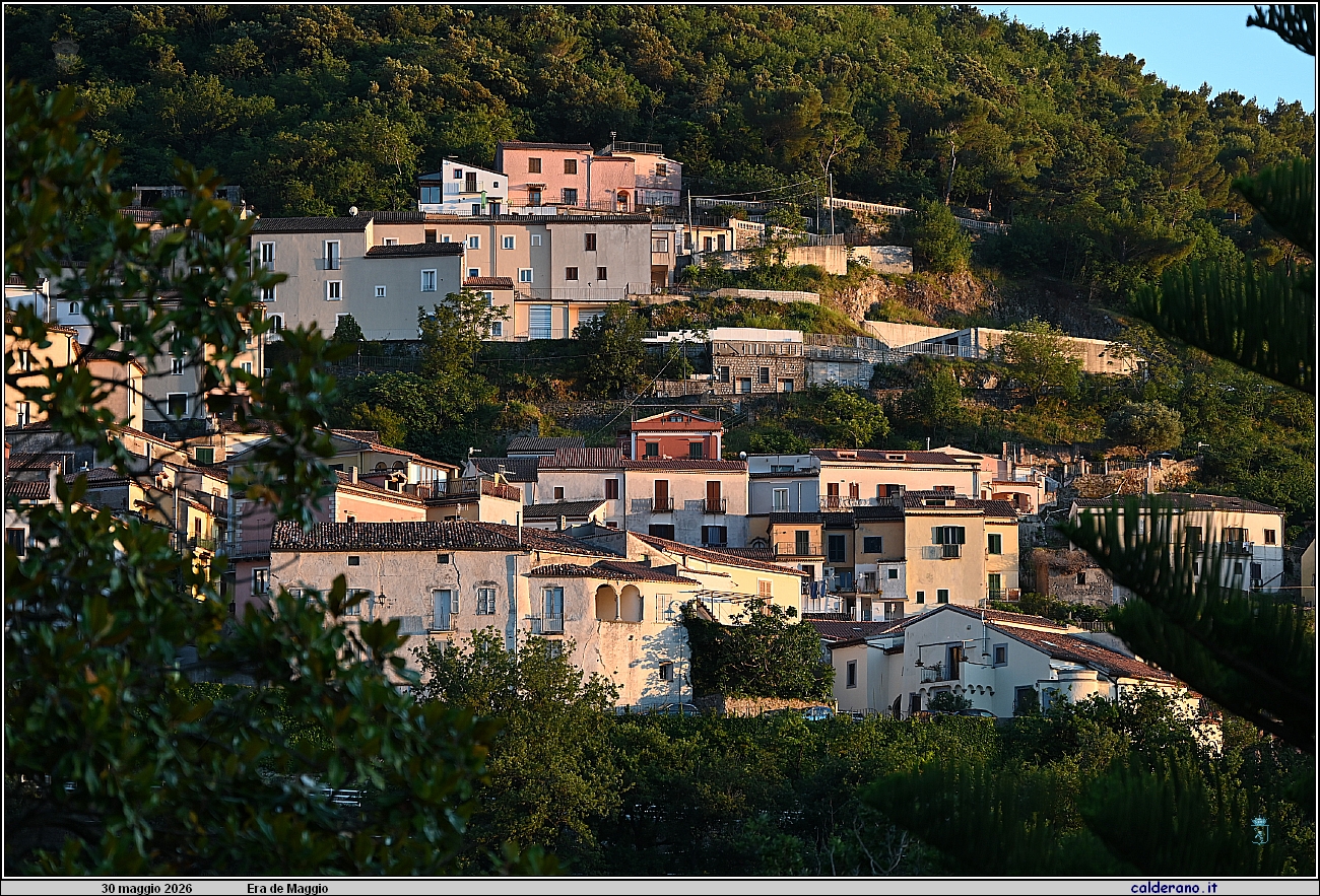 26E_9612.JPG