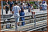 26H_9680.JPG