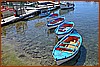 26H_9688.JPG