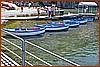 26H_9733.JPG