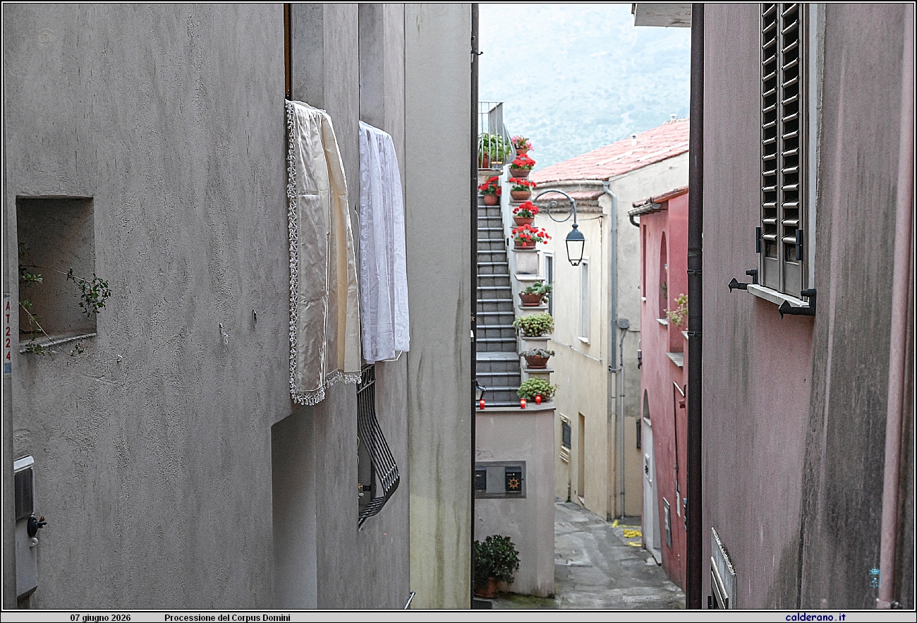 26H_90054.JPG