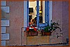 26H_0389.JPG