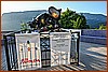 26H_0954.JPG