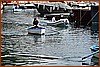 26H_2259.JPG