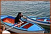 26H_2263.JPG