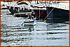 26H_2279.JPG