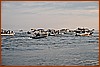 26H_2520.JPG