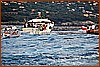 26H_2560.JPG