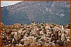 26H_2565.JPG