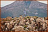 26H_2568.JPG