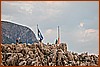 26H_2570.JPG