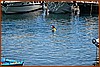 26H_2801.JPG