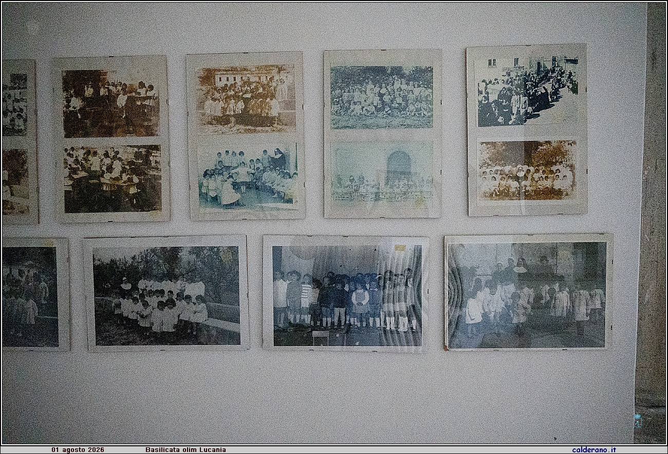 26M_6323.jpg
