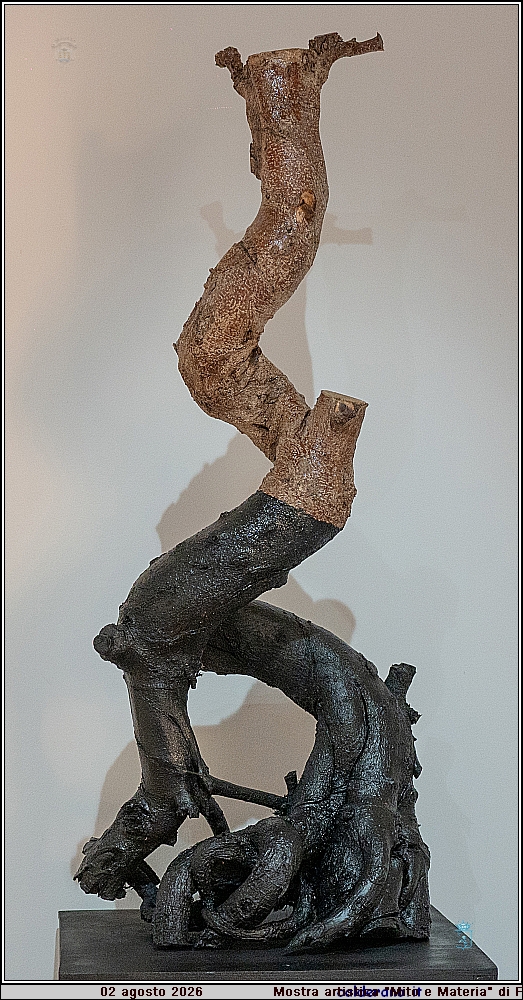 26M_6419.jpg