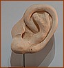 26M_6409.jpg
