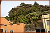 26M_6449.jpg