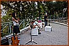 26M_6517.jpg