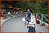 26M_6549.jpg