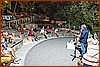 26M_6550.jpg