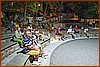 26M_6551.jpg