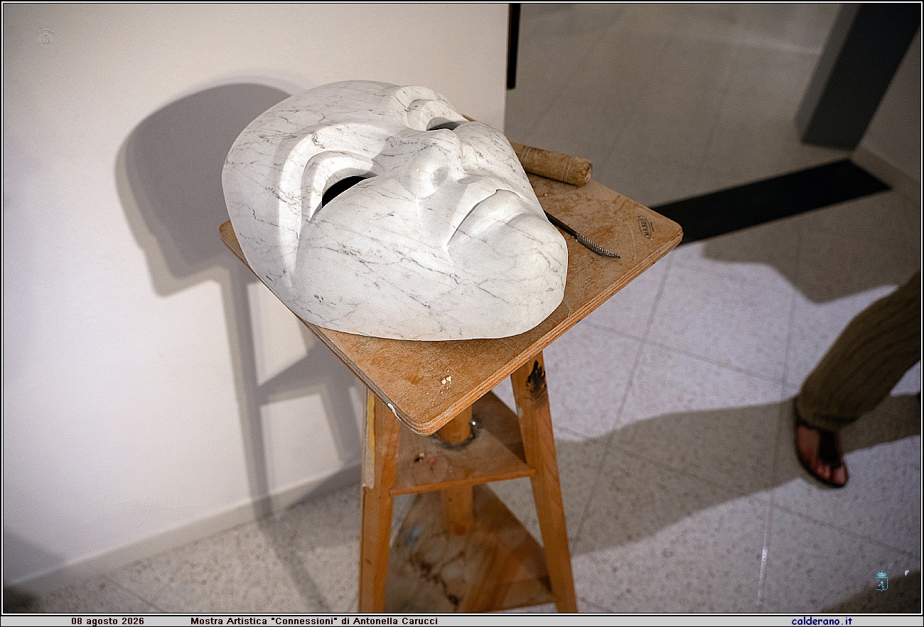 26M_6774.jpg