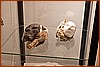 26M_6786.jpg