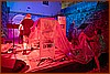 26M_6795.jpg