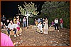26M_7379.jpg
