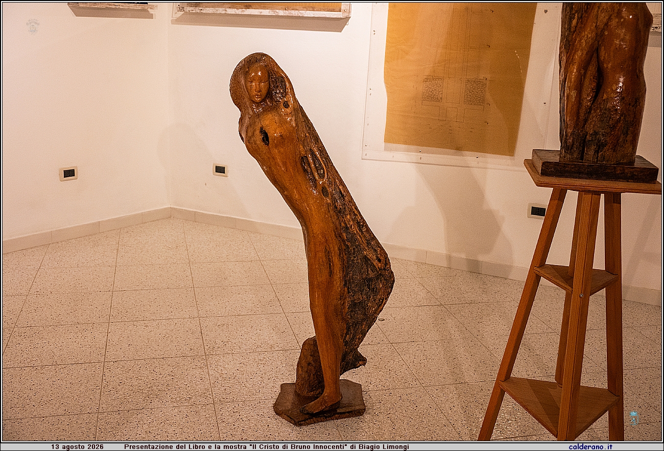 26M_7532.jpg