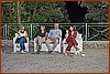 26M_7441.jpg