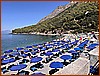 IMG_8200.jpeg