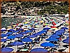 IMG_8201.jpeg