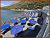 IMG_8226.jpeg