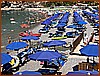 IMG_8227.jpeg
