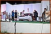 26M_7861.jpg