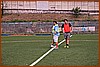 26M_7944.jpg