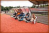 26M_7949.jpg