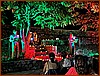 IMG_0829.JPEG