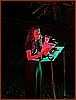 IMG_0831.JPEG