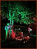 IMG_0832.JPEG