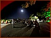 IMG_0834.JPEG