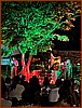 IMG_0840.JPEG