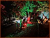 IMG_0847-1.JPEG