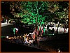 IMG_0851.JPEG