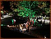 IMG_0853.JPEG