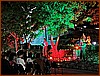 IMG_0856.JPEG
