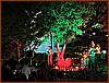 IMG_0857.JPEG
