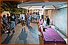 26P_8491.jpg