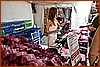 26P_8527.jpg